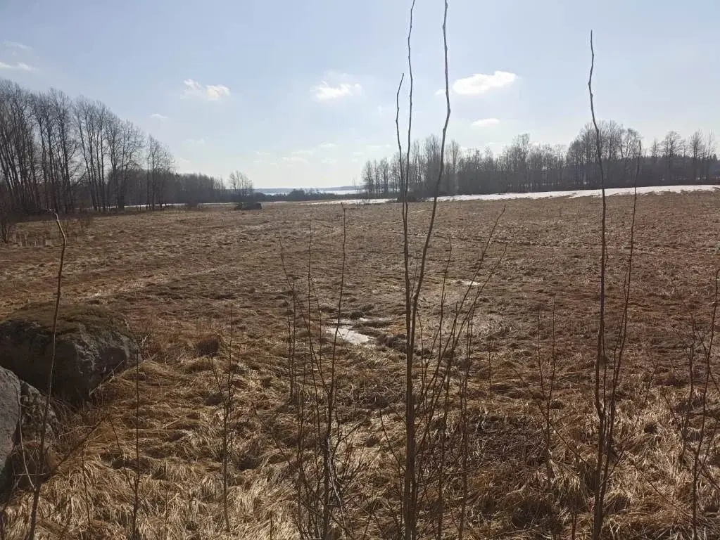 Участок в 100 м от озера Губановское - Фото 6