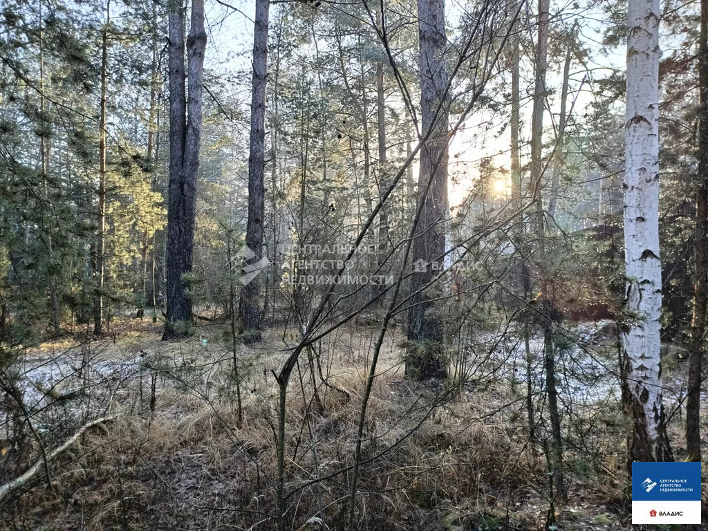 Продажа участка, Алеканово, Рязанский район - Фото 5