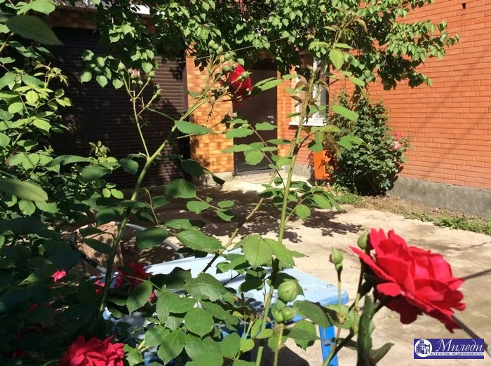 Продажа таунхауса, Батайск, ул. Калинина - Фото 14