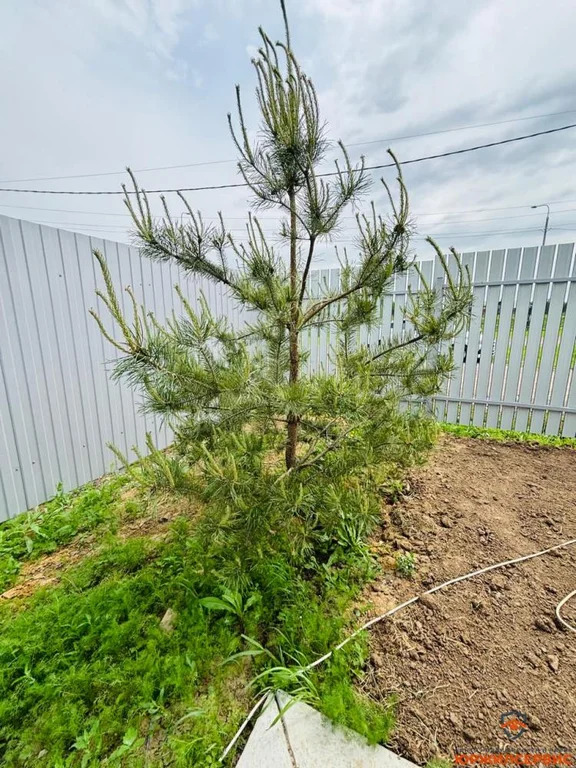 Продажа дома, Домодедово, Домодедово г. о., территория КП Кузьминский - Фото 4