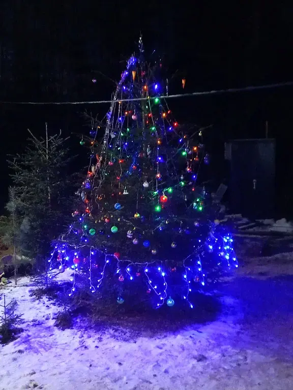 Сдать дом на Новый год - Рощино-Лебяжье - Фото 6