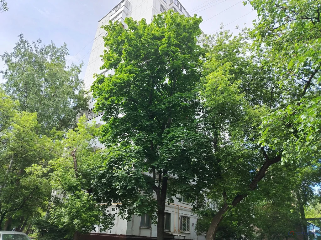 Продажа квартиры, ул. Юных Ленинцев - Фото 8