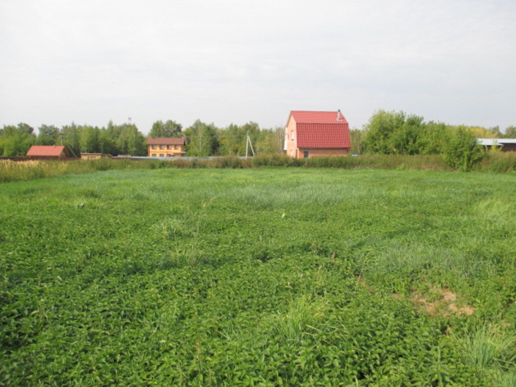 Продам участок тула. Село Фалдино Тульская область. Деревни Фалдино. Фото земельного участка без строений.