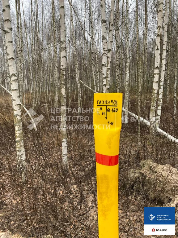Продажа участка, Ярустово, Спасский район, ул. Лесная - Фото 4