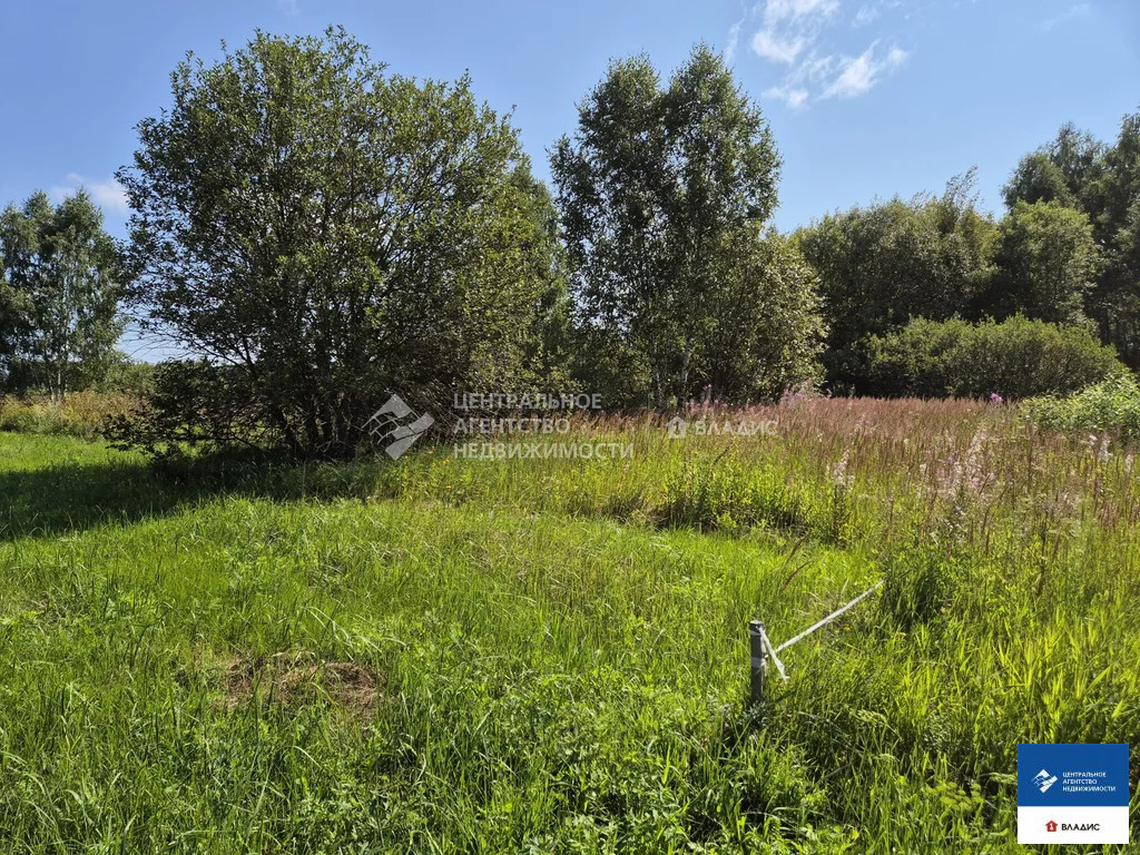 Продажа участка, Гнетово, Рязанский район, Васильковая улица - Фото 10