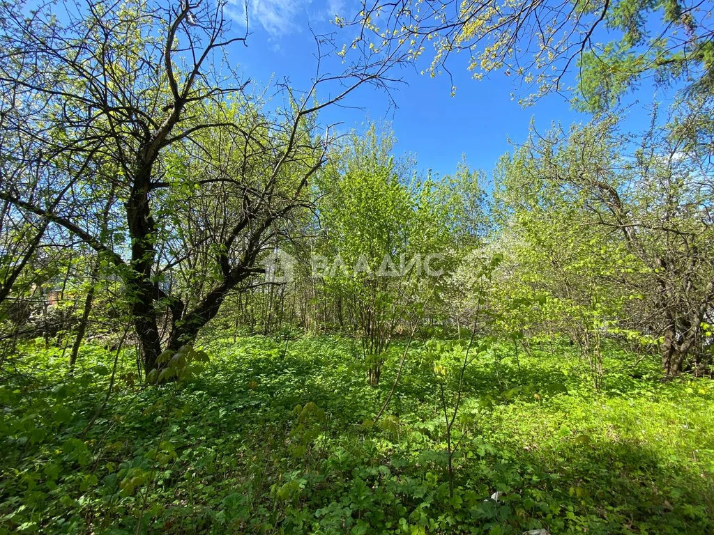 Ленинский городской округ, деревня Жабкино, Троицкая улица,  земля на ... - Фото 2