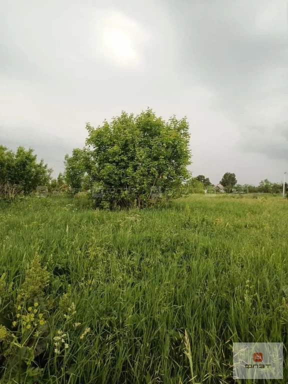 Продажа участка, Новые Бирюли, Высокогорский район, ул. Зеленая - Фото 6