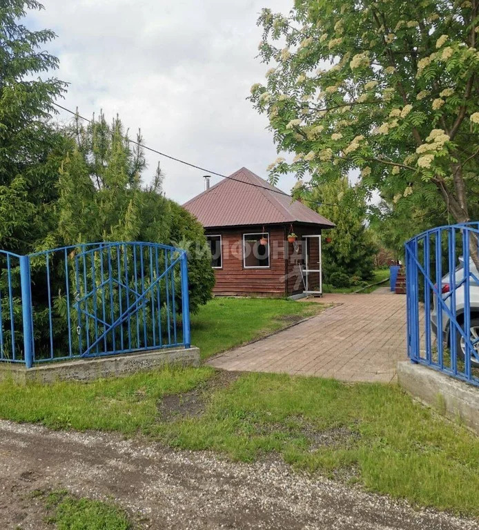 Продажа дома, Боровое, Новосибирский район, снт Боровинка - Фото 30