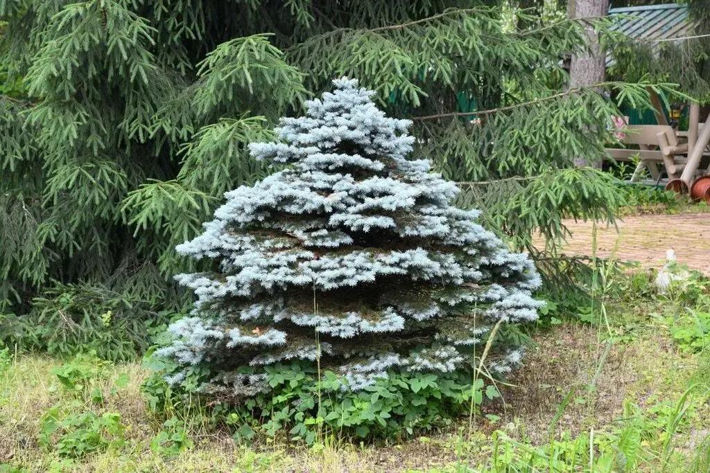 Купить дом 300.0м Московская область, Раменский муниципальный округ, . - Фото 17