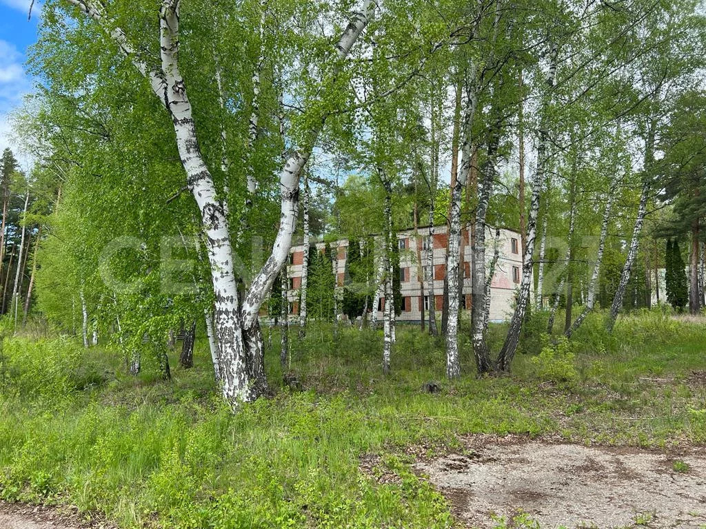 Продажа ПСН, Колодезское, Задонский район, ул. Солнечная - Фото 4