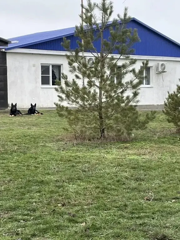 База отдыха на берегу реки Маныч — ваш личный выход к воде! - Фото 2