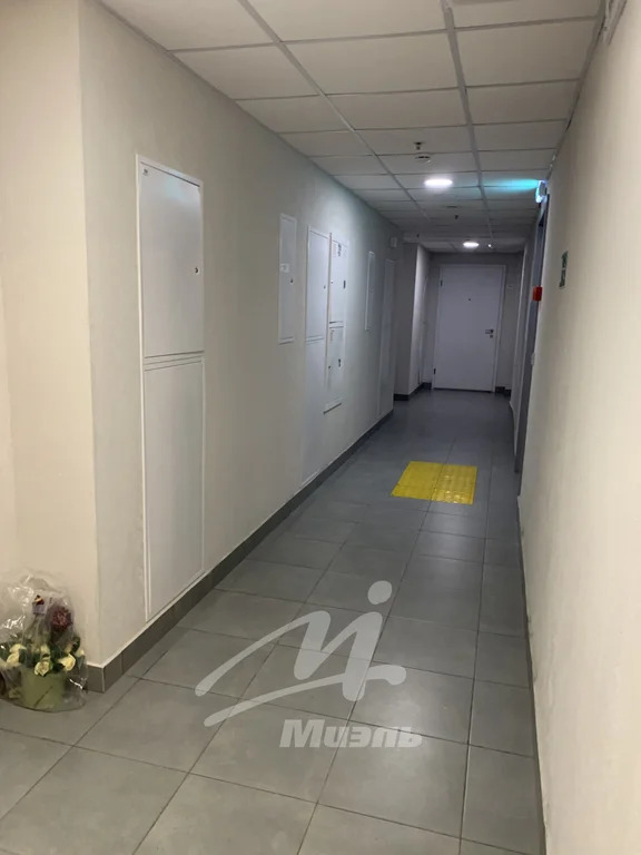 Аренда квартиры, м. Бульвар Рокоссовского, Открытое ш. - Фото 31