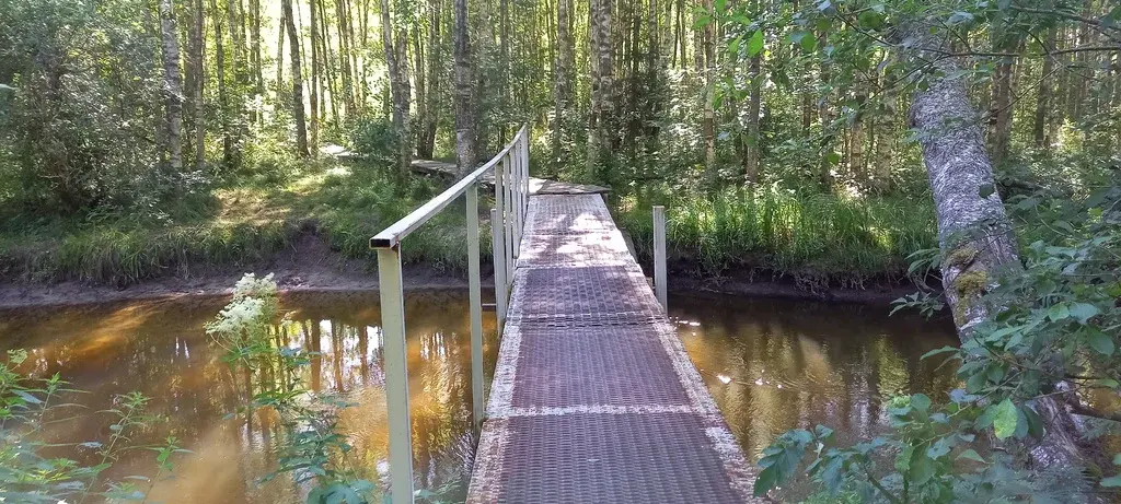 Продаю садовый домик с участком в Шевелёво - Фото 14