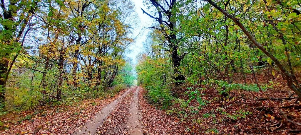 Продажа участка, Новоалексеевский, Северский район - Фото 9