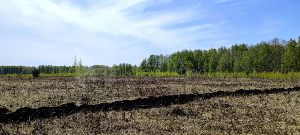 Продажа земельного участка, Тюменский район, Тюменский р-н - Фото 10