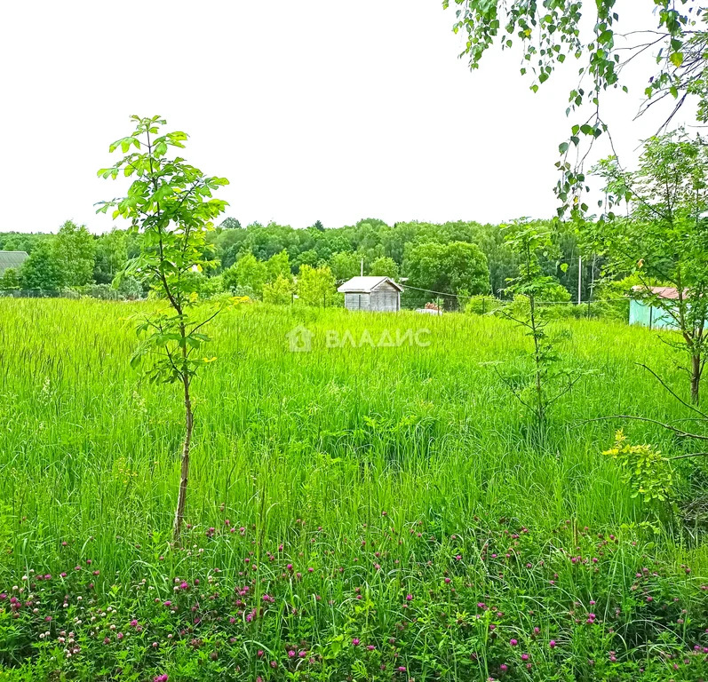 Боровский район, деревня Колодези, Ключевая улица,  земля на продажу - Фото 2