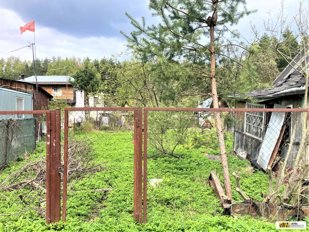 Продажа участка, Богородский г. о, Садовое товарищество Сосновый Бор - Фото 6