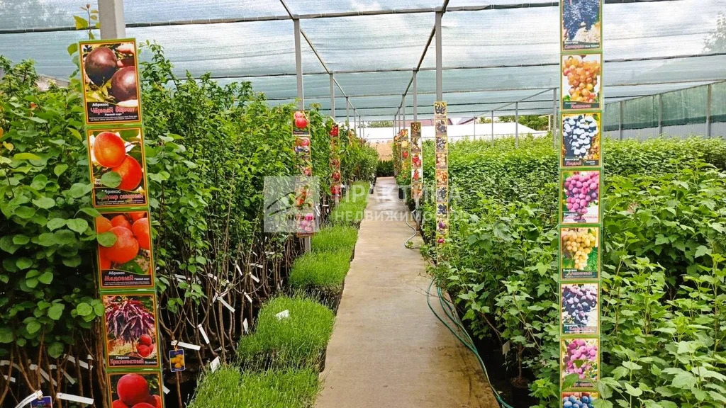 Продажа ПСН, Балашиха, Балашиха г. о., Щелковское ш. - Фото 20