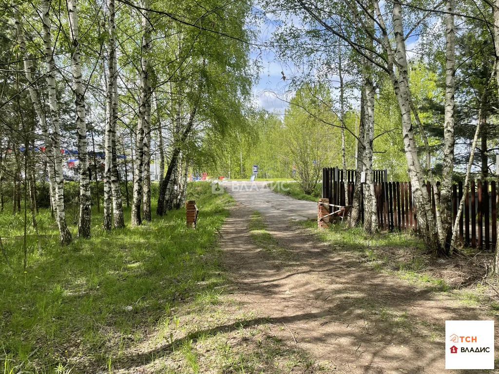 Продажа участка, Ельня, Богородский г. о. - Фото 4