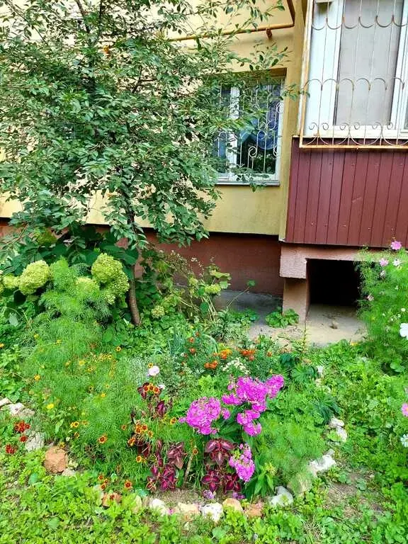 Евро ремонт, 1 взр.собственник, полная стоимость в договоре, балкон - Фото 0