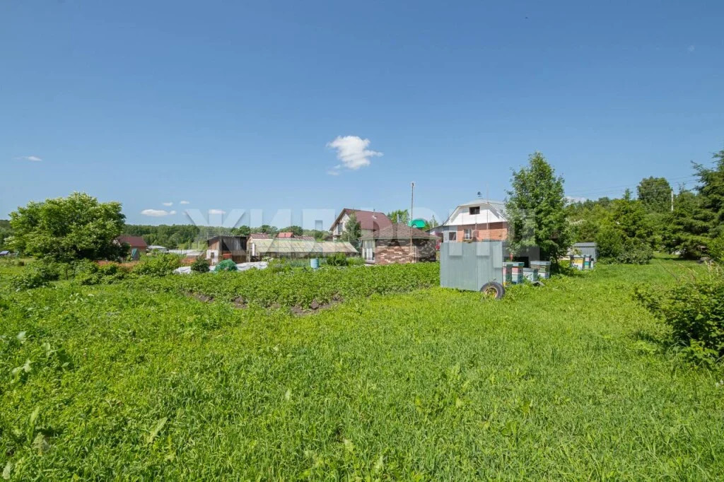 Продажа дома, Быково, Новосибирский район, ул. Школьная - Фото 30