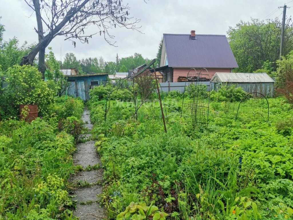 Продажа дома, Новолуговое, Новосибирский район - Фото 4