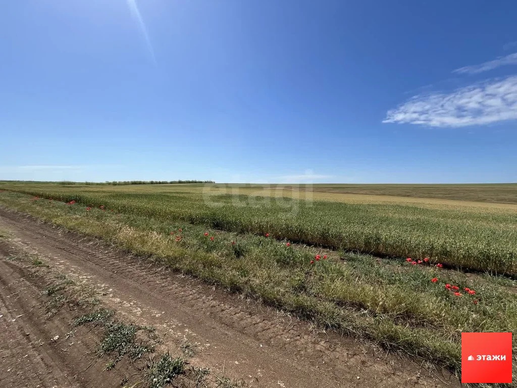 Продажа участка, Митяево, Сакский район - Фото 6