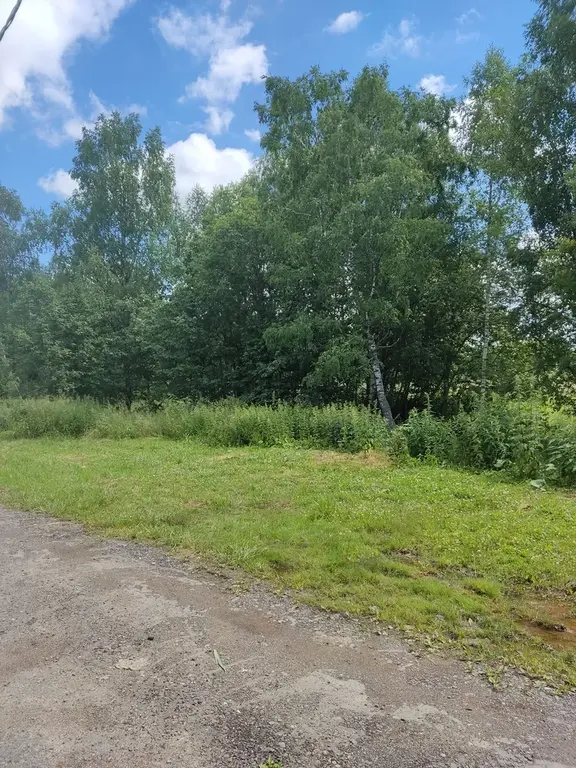 Дом, баня и недостроенный дом 299кв.м на участке 15сот. - Фото 3