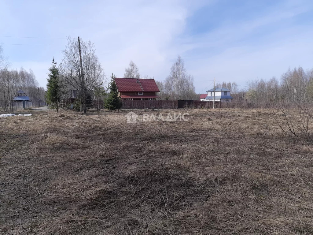 Петушинский район, садоводческое некоммерческое товарищество Раздолье, . - Фото 1