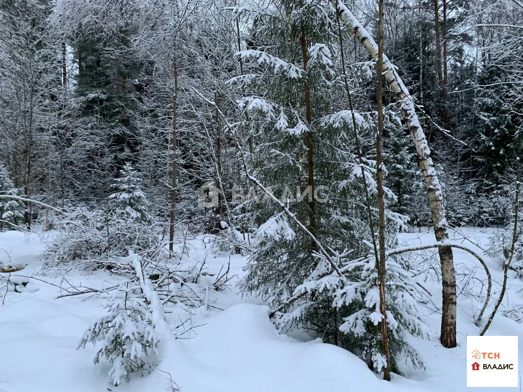 Продажа участка, Щелковский район - Фото 1