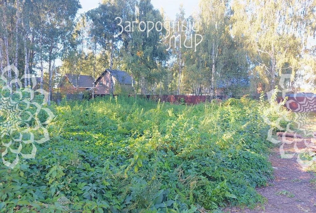 Продам участок, Носовихинское шоссе, 19 км от МКАД - Фото 0