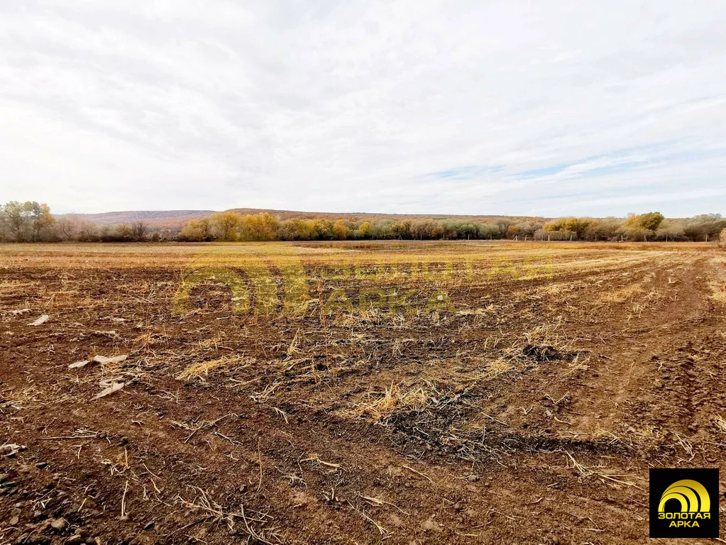 Продажа участка, Новопокровское, Крымский район - Фото 10