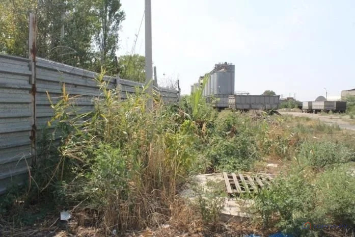 Продажа ПСН, Ростов-на-Дону, 1-я Луговая улица - Фото 8