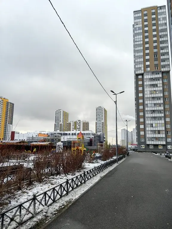 сдается 1-к. квартира: последний 23 этаж, кухня 10м, дети, животные ++ - Фото 3