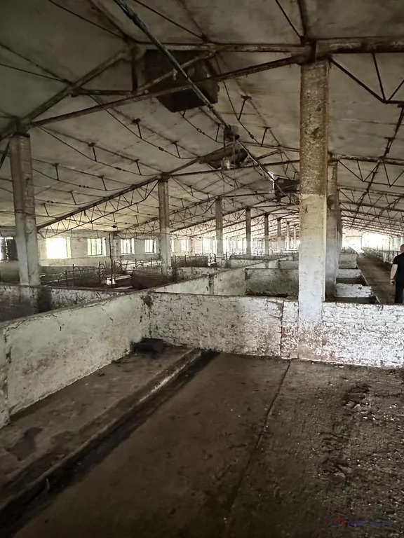 Продажа производственного помещения, Раздольное, Новоалександровский ... - Фото 5
