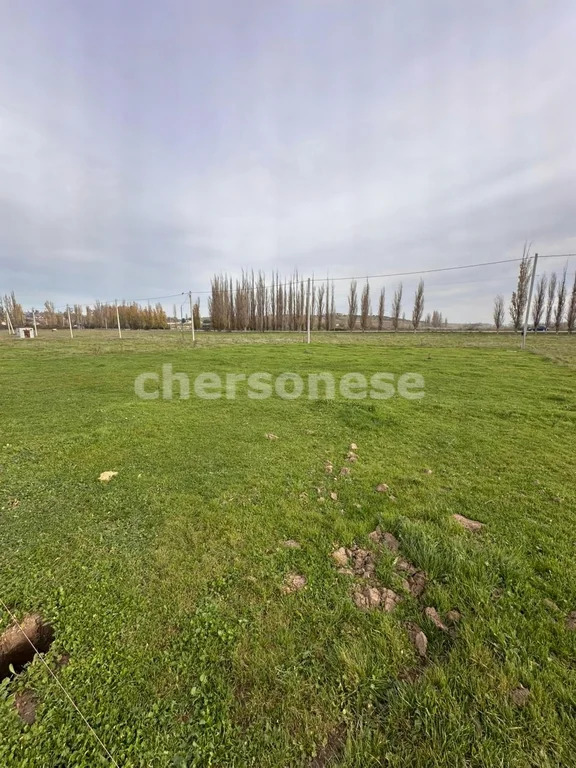 Продажа участка, Севастополь, территория совхоз-завод имени П. ... - Фото 3