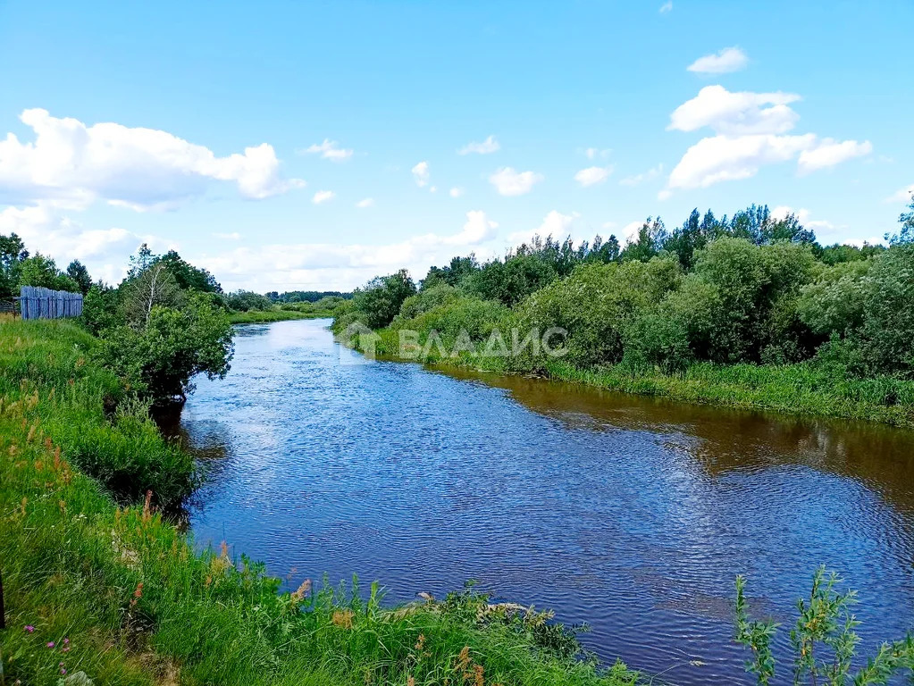 Земельный участок на продажу, Богородский городской округ, деревня ... - Фото 10