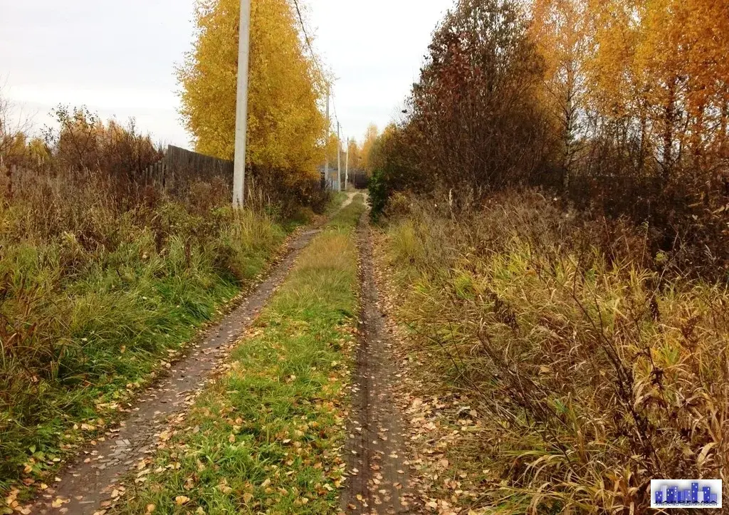 8 соток в д. Курилово, СНТ Ромашка - Фото 7