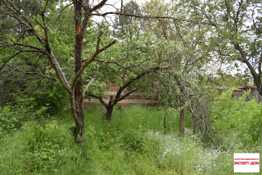 Продажа дома, Неклиновский район, Радужный пер. - Фото 14