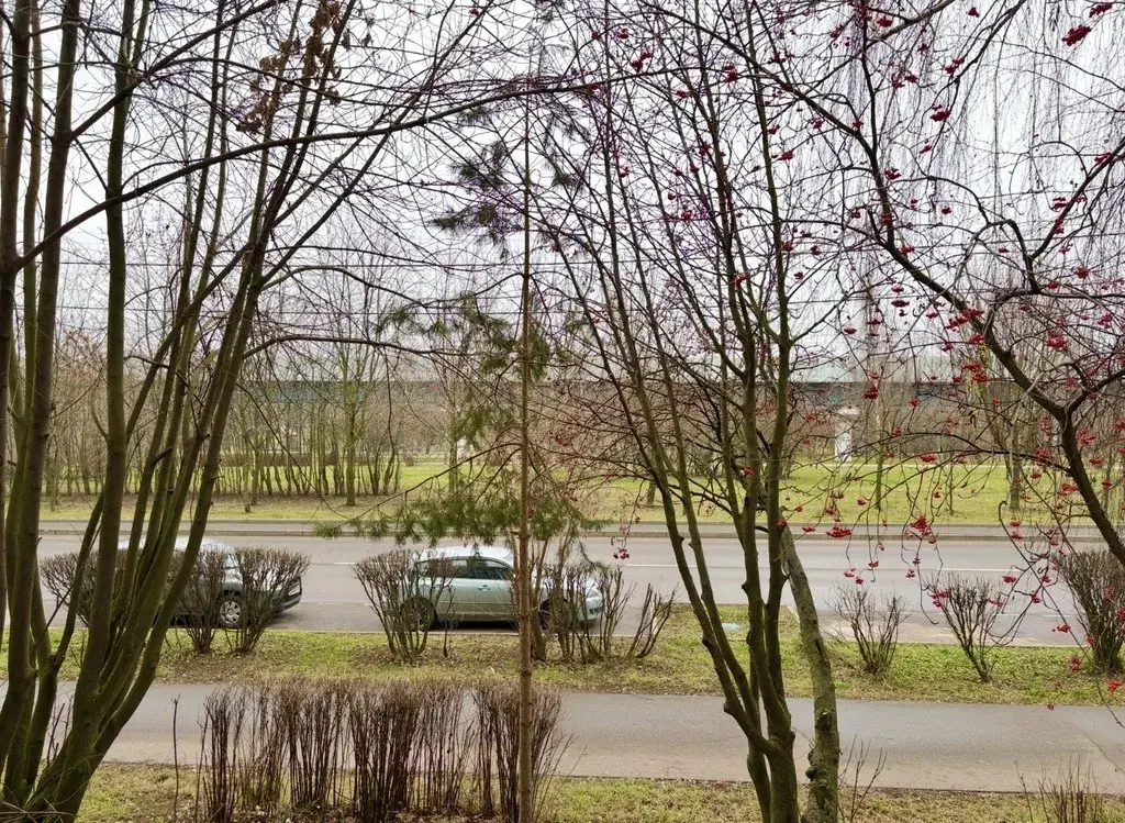 Аренда 2х к.кв. на ул.Адмирала Руднева - Фото 18