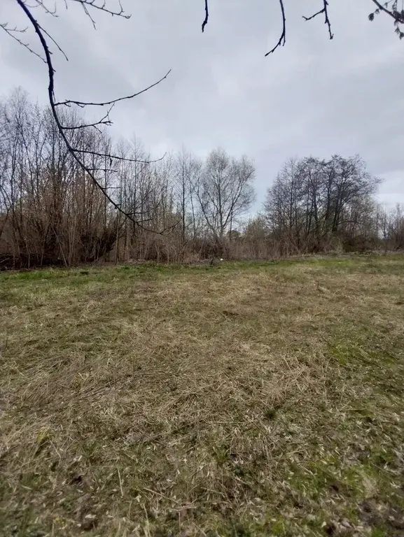 Участок 12,5 соток. д.Пехорка, Люберецкий р-н - Фото 1