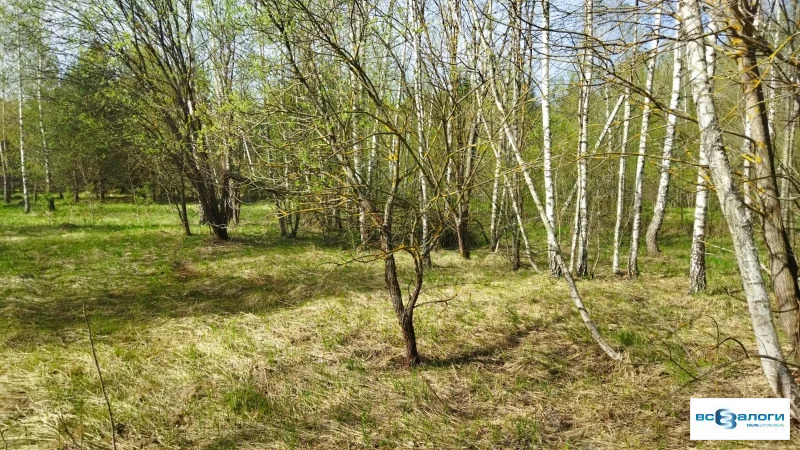 Продажа готового бизнеса, Серпухов, Московская обл. - Фото 1