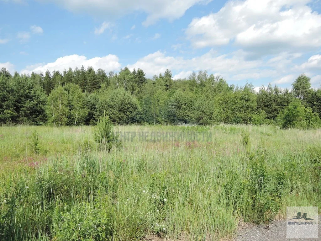 ПРОДАЕТСЯ УЧАСТОК 10 СОТОК ПОД ИЖС В ПАВЛОВСКОМ ПОСАДЕ (д. Носырёво) - Фото 3