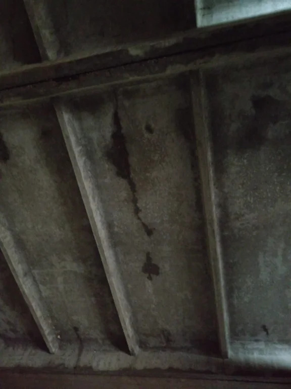 Объект незавершенного строительства на з/у 2800 кв.м. - Фото 7