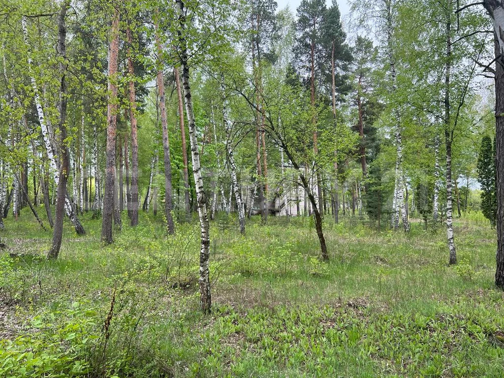 Продажа ПСН, Колодезское, Задонский район, ул. Солнечная - Фото 28