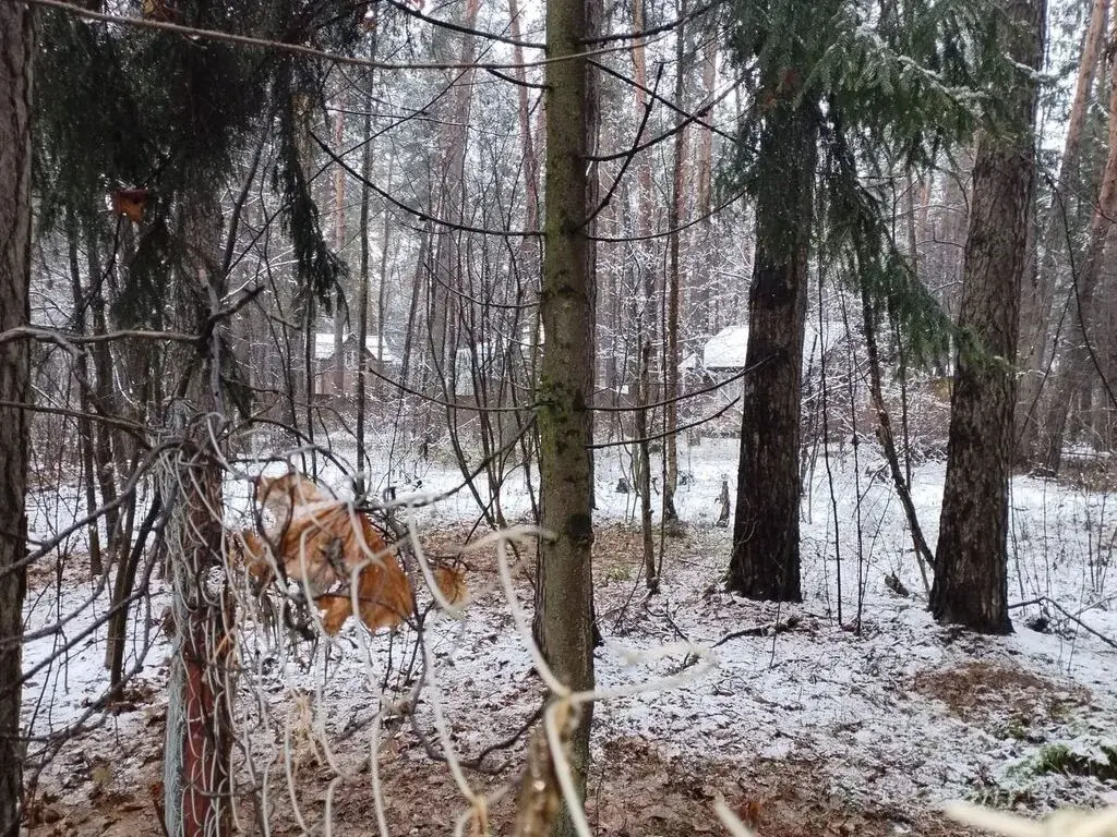 Продажа участка 17 сот. п. Кратово, ул. Кооперативная - Фото 3