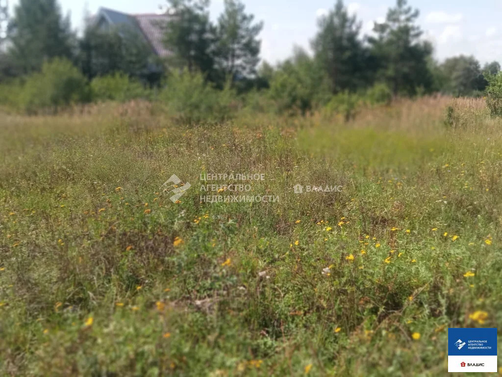 Продажа участка, Киселево, Рязанский район - Фото 10