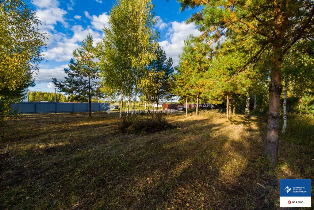 Продажа участка, Рязанский район - Фото 9