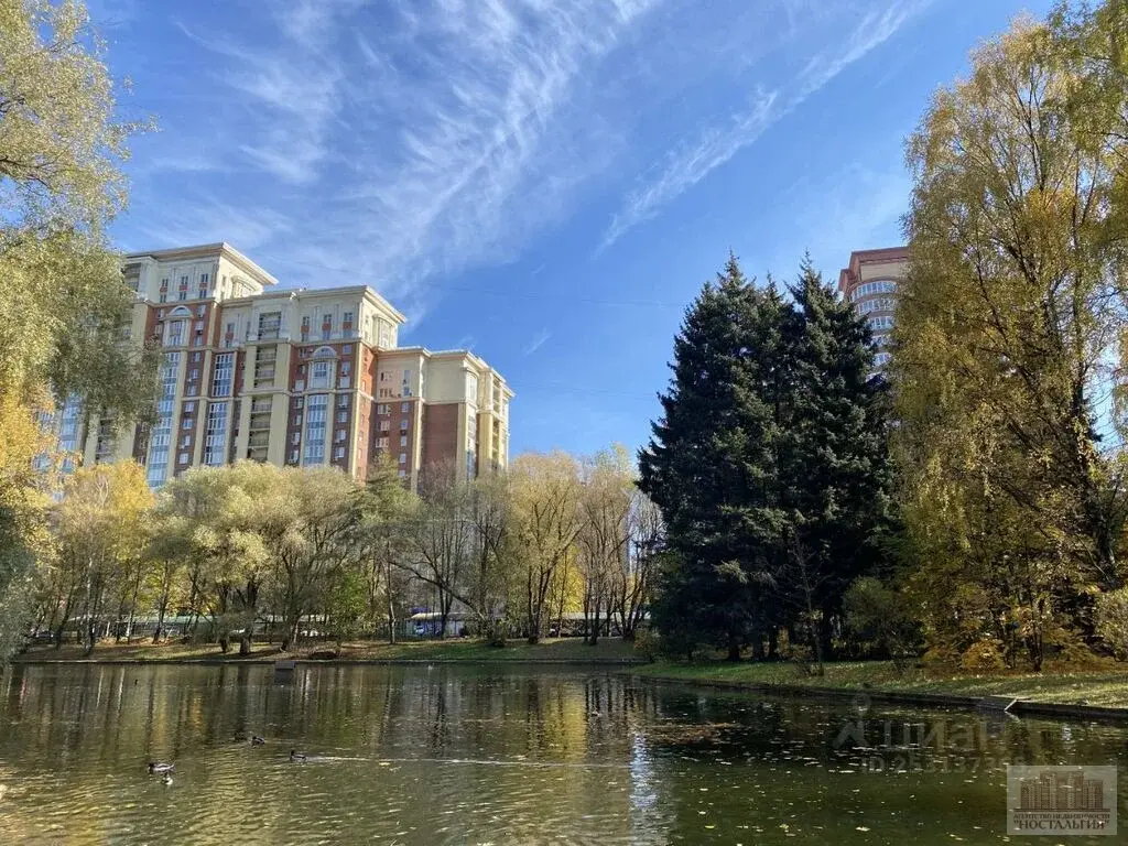 Сдам однокомнатную квартиру 62.0м - Фото 0