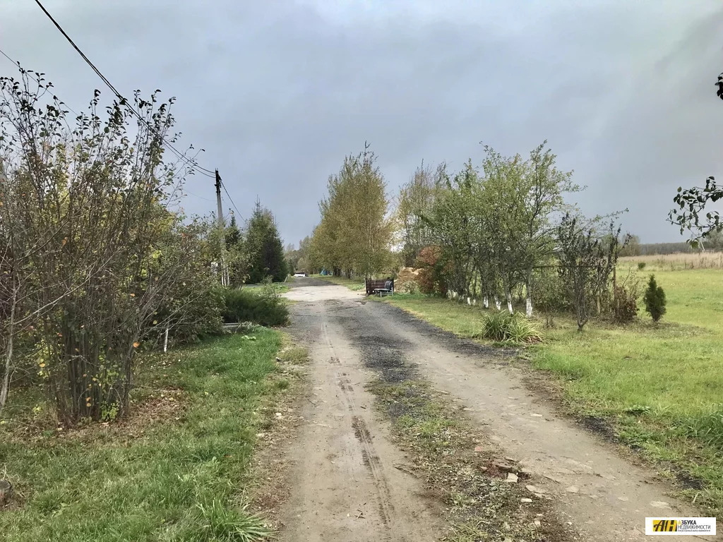 Автобус юсупово домодедово. Юсупово Московская область. Село Юсупово. Юсупово Домодедово. Фауна пляж Домодедово Юсупово фото.